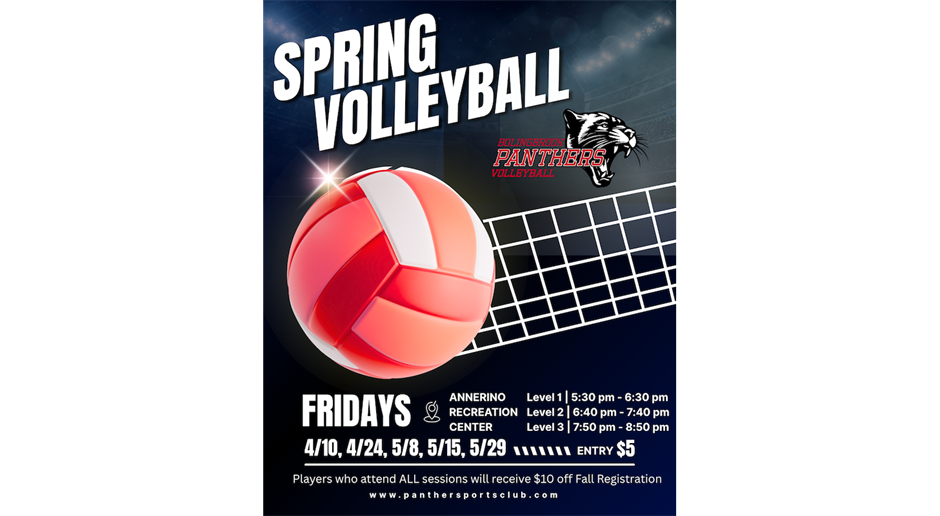 Volleyball Spring Clinics